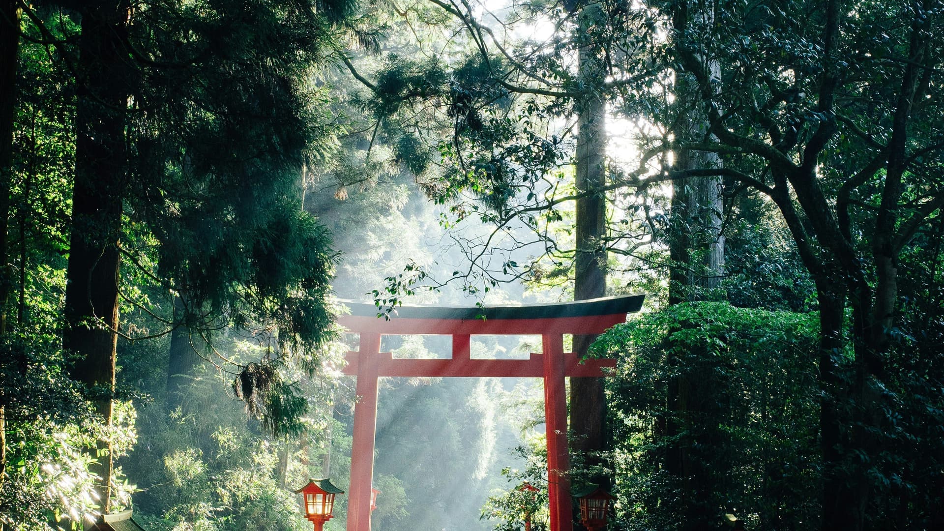 Amazing Japan destination 2