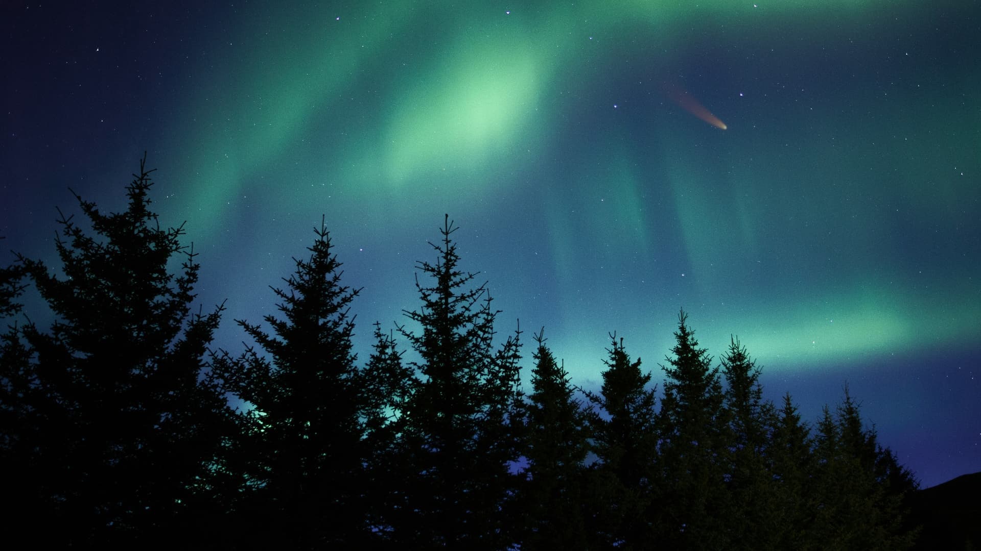 Premium VIP destination 2