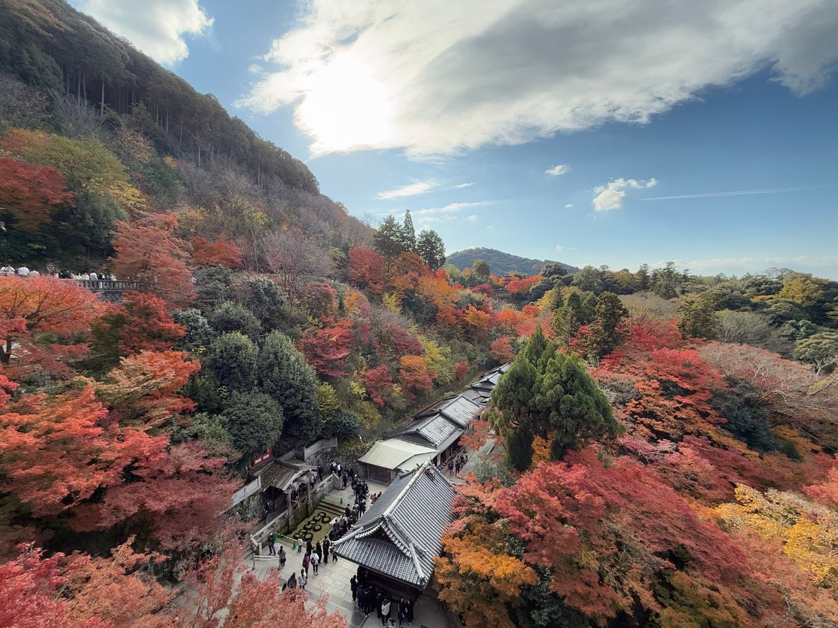 ทัวร์ใบไม้เปลี่ยนสี ญี่ปุ่น