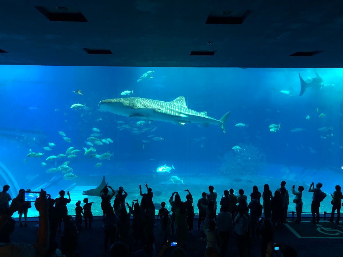 ทัวร์โอกินาว่า ทะเลใส