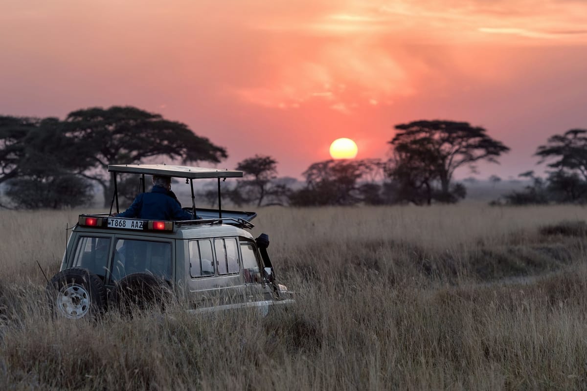 แอฟริกัน ซาฟารี เอ็กซ์เพดิชั่น